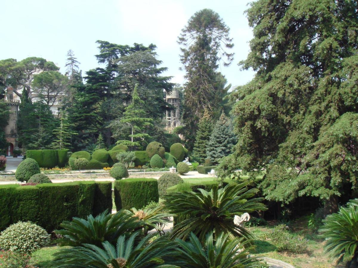 Les Grands Cedres C1 7 Avenue De Fabron Διαμέρισμα Νίκαια Εξωτερικό φωτογραφία